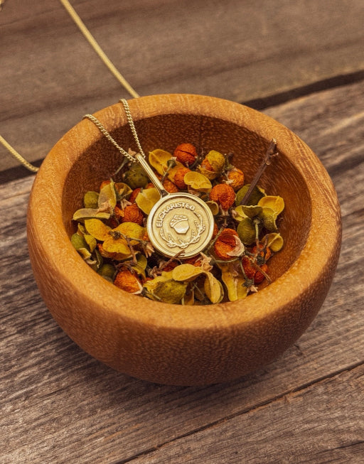 Acorn Coin Necklace